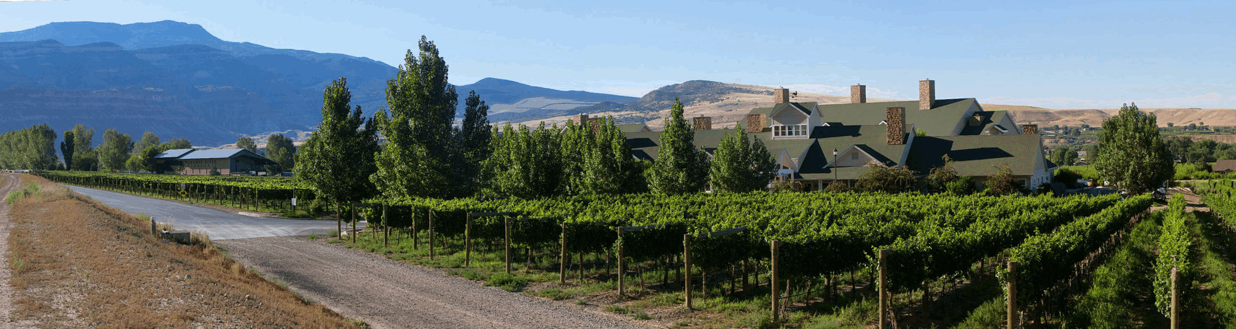 View As PDF - Wine Country This Week