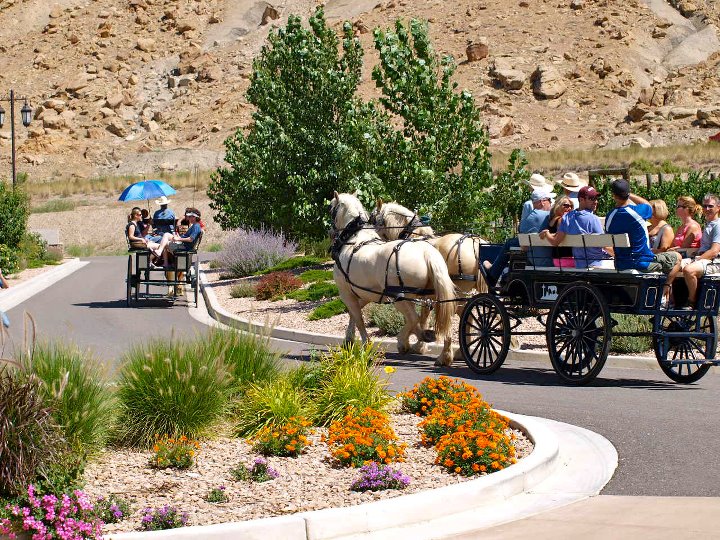 Palisade weddings and events